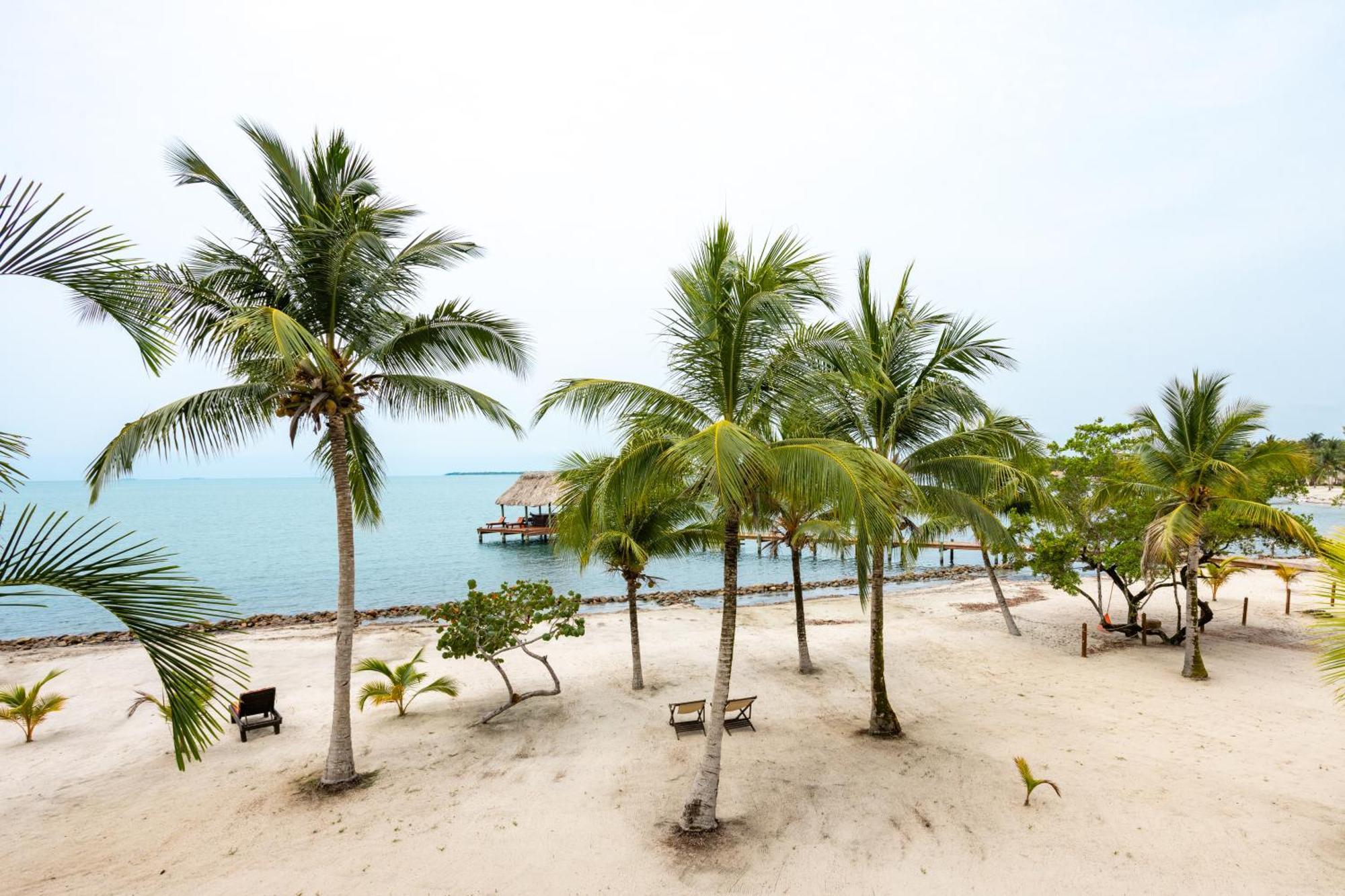 The Villas At Cocoplum Placencia المظهر الخارجي الصورة
